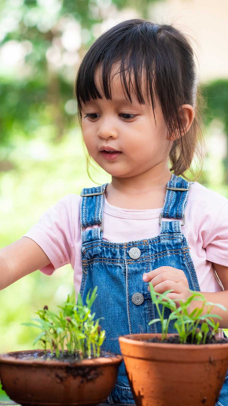 Organic Early Learning - Burnaby Daycare Centre, Childcare Burnaby